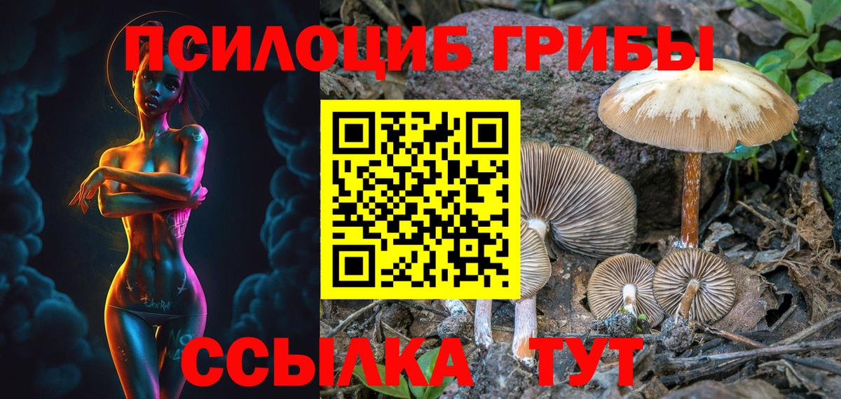 Галлюциногенные грибы Psilocybe  Псилоцибиновые грибы Psilocybe  Истра  Вход с VPN 